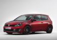 Фото Volkswagen Golf GTI Worthersee 09 Concept 2009