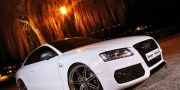 Фото Senner Audi S5 White Beast 2010