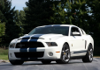 Фото Shelby Ford Mustang GT500 Patriot Edition 2009
