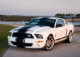 Фото Shelby Ford Mustang GT500 Super Snake