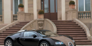 Фото Bugatti Veyron Fbg par Hermes 2008