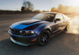 Фото Ford Mustang RTR 2010