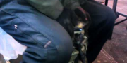 Ремонт передней стойки амортизатора в Рено Меган